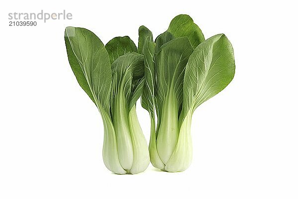 Bok choy  also known as pak choi or pok choi type of Chinese cabbage isolated on white background