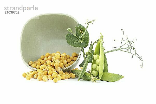 Dried yellow peas spilling out from bowl and fresh garden peas pods with green leaves isolated on a white background