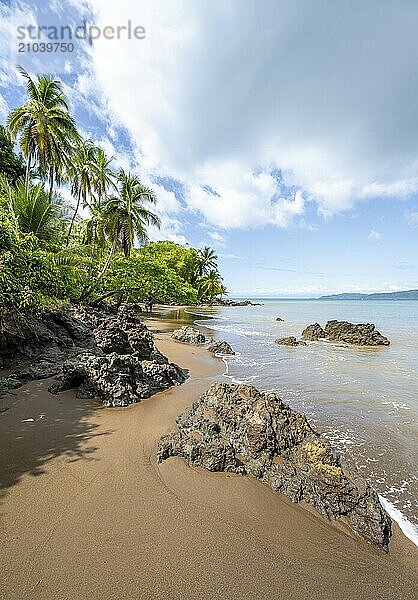 Tropical beach  South Pacific  Osa Peninsula  Punterenas Province  Costa Rica  Central America