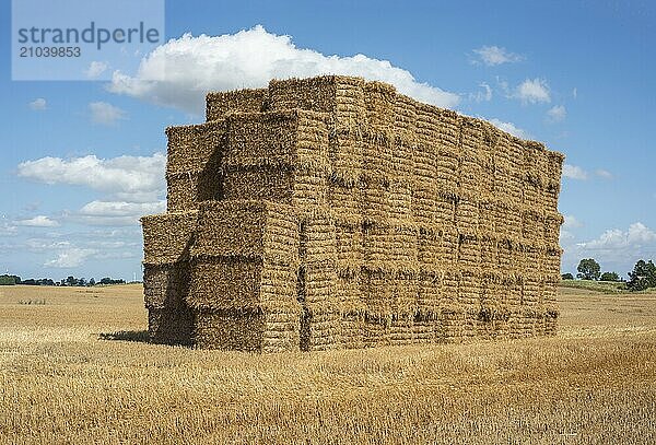 Pile of rectangular straw bales at Ystad  Skåne county  Sweden  Scandinavia  Europe