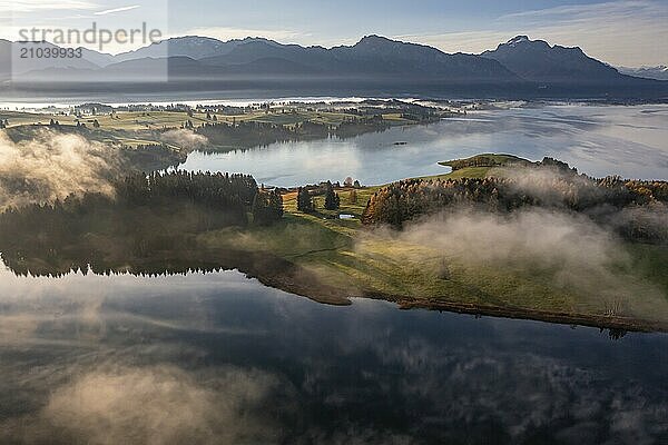 Aerial view of a lake in front of mountains in the morning light  fog  autumn  Forggensee  view of Säuling and Ammergebirge  Alpine foothills  Upper Bavaria  Bavaria  Germany  Europe