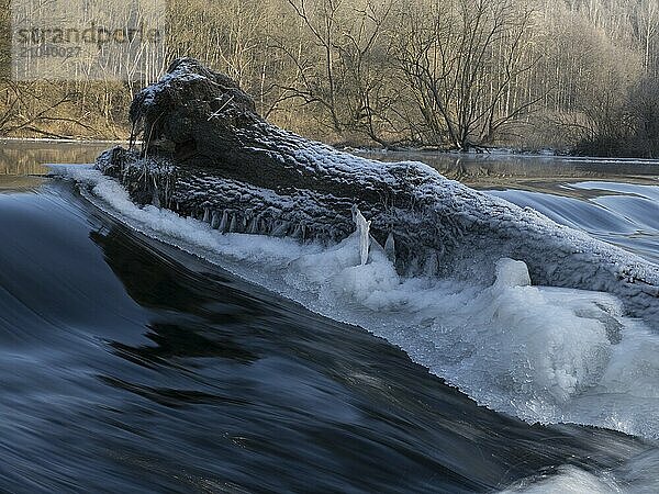 An icy tree trunk lies in the Hirschberg weir on the Saxon Saale in Thuringia