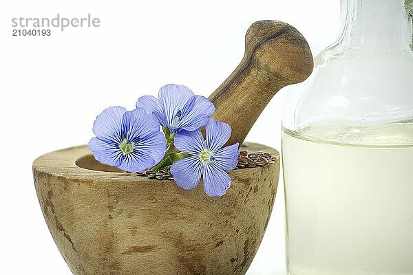 Wooden mortar filled with small brown flax seeds and a blue flax plant flowers alongside linseed oil in glass decanter isolated on white background