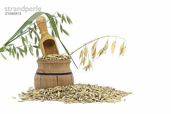 Heap of organic oat grains with hulls or husks isolated on a white background. Whole oats grains with husk. Agriculture  diet and nutrition