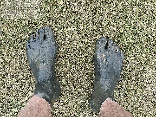 Mud feet through the North Sea mudflats