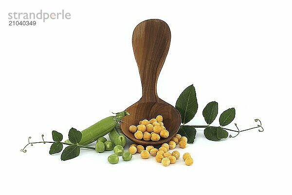 Wooden spoon filled with a yellow dried peas surrounded by a green leaf  fresh green peas and pea pods isolated on white background  healthy  plant based diet