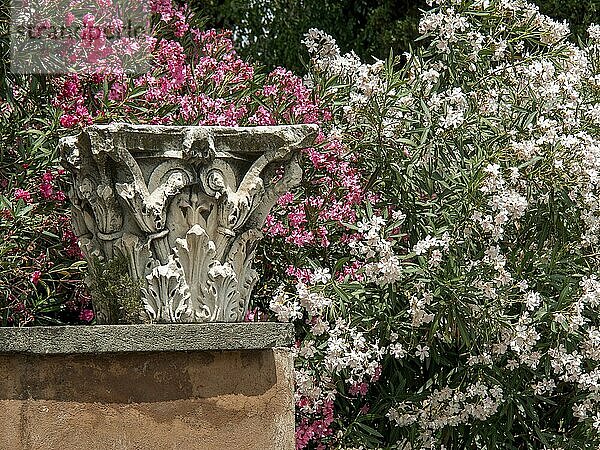 Stone sculpture with decorative elements surrounded by lush flowers in splendid bloom  Rome  Italy  Europe