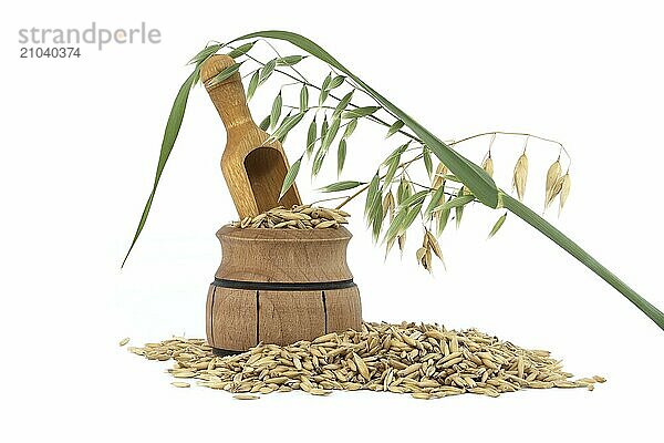 Heap of organic oat grains with hulls or husks isolated on a white background. Whole oats grains with husk. Agriculture  diet and nutrition