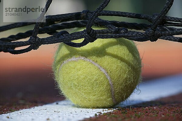 Tennis scene with black net and ball on white line in low angle view and selective focus