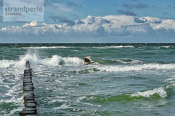 View of the sea in Zingst. The Baltic Sea is always worth a trip. The groynes are always beautiful to look at. The soul always finds peace and relaxat