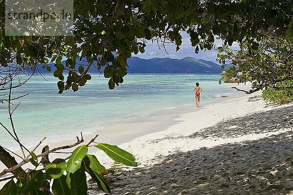 Dream beach in the Seychelles  Dream beach on Seychelles