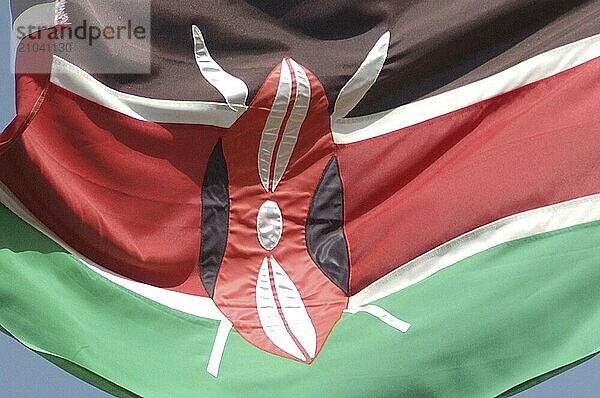 Detail of shield on Kenyan flag