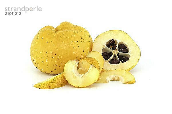 Vibrant quince fruits  both sliced and whole isolated on white background  full depth of field  Chaenomeles japonica or Japanese quince