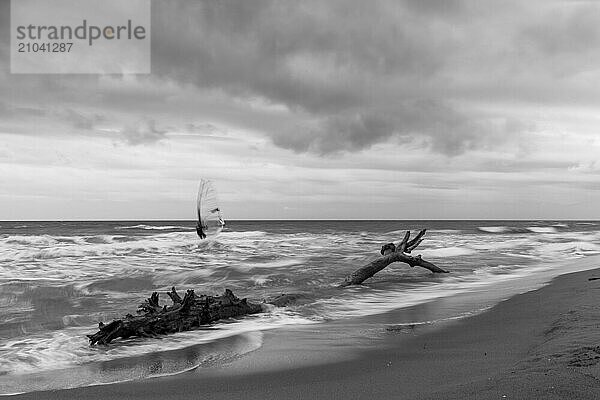 Beach  sea  surfer  italy