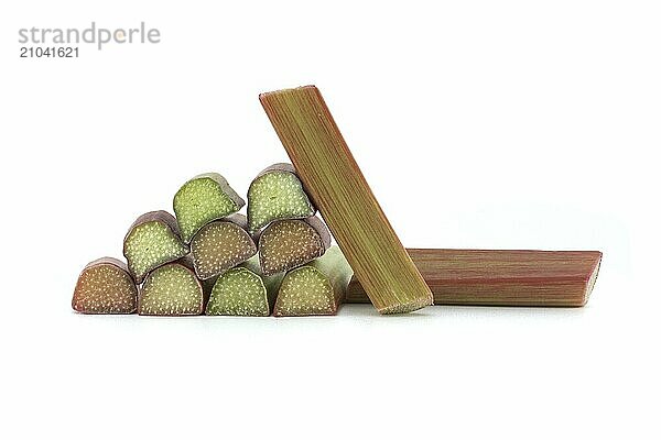 Rhubarb stalks of varying colors from pale green to deep red isolated on white background  illustrate a recipe for a rhubarb-based dish