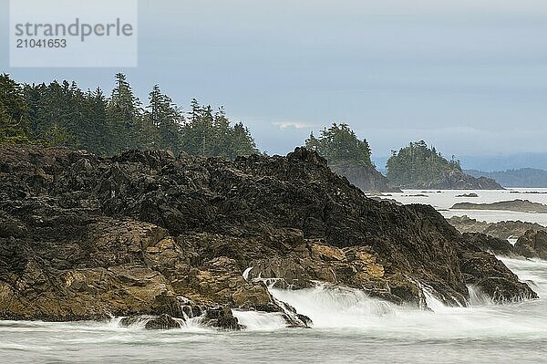 The rugged west coast of Vancouver Island  Canada  North America