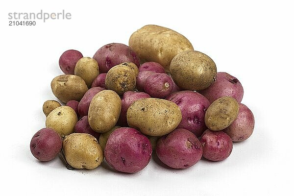 A close up photo of freshly harvested red and yellow baby potatoes set against a white background