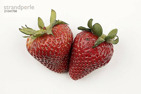 Two delicious and fresh strawberries are on a pure white background