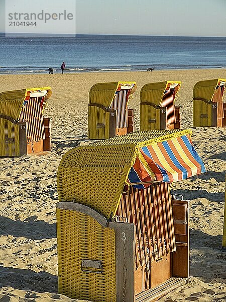 Several beach chairs in rows on the beach  a few people on the horizon  the sky is clear and blue  egmond aan zee  netherlands