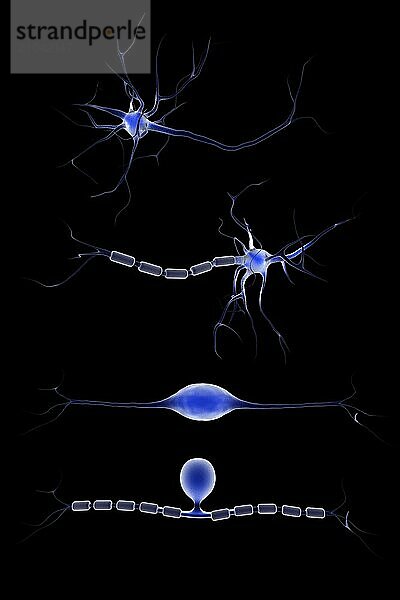 Conceptual image of a neuron