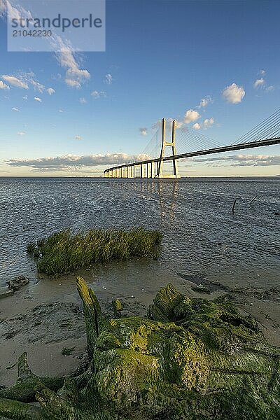 Ponte Vasco da Gama Bridge view near the Rio Tejo river at sunset