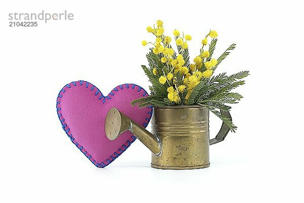 Heart-shaped pink pillow with blue threads woven through it beside of bouquet of yellow mimosa flowers in a brass watering can against a white background