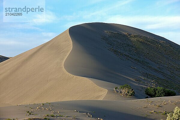 The tall dunes at the Bruneau Sand Dunes state park in southwest Idaho