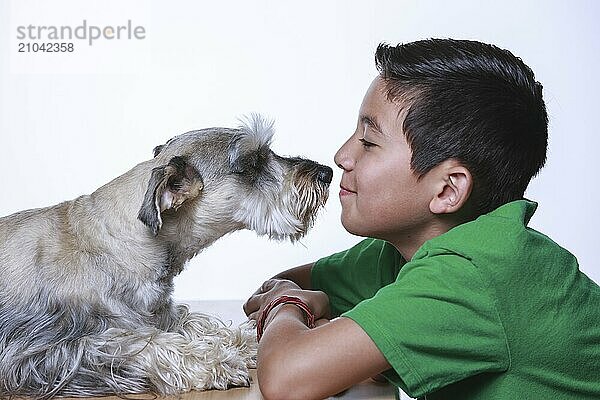 A boy and a Miniature Schnauzer share some bonding time together in this studio photo