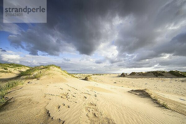 In the dunes of the Danish North Sea island of Rømø