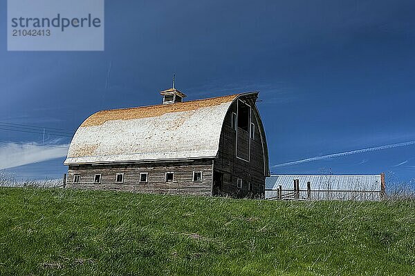 An old barn and green grass near Colfax  Washington