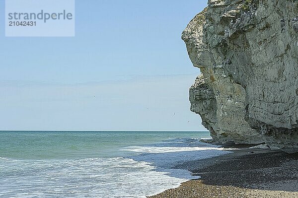 The Bulbjerg bird cliff on the Jutland North Sea coast in Denmark