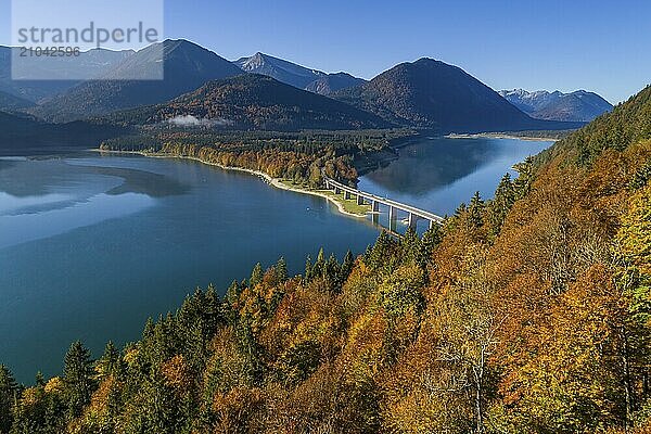 Aerial view of a mountain lake and autumnal coloured trees in the morning light  Sylvensteinsee  Karwendel Mountains  Upper Bavaria  Bavaria  Germany  Europe