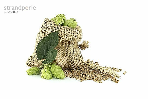 Bag full of hops and wheat isolated on white background  important ingredients in food and beverage production  particularly in brewing beer