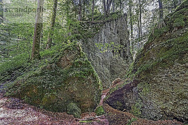 The Teufelsküche is a landslide consisting of boulders as high as houses and is designated as a natural monument. near Obergünzburg in Günztal  Allgäu  Bavaria  Germany  Europe