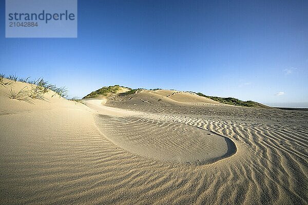 In the dunes of the Danish North Sea island of Rømø