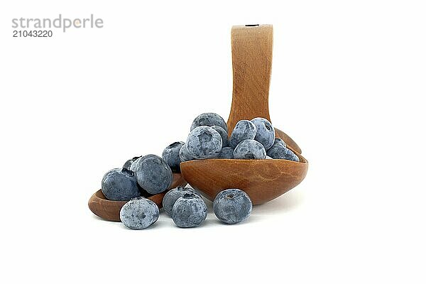 Blueberries in wooden spoon isolated on white background  full depth of field