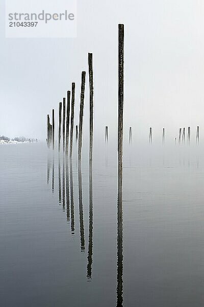 A mirror image like photo of wooden pilings reflection off the water on the calm Pend Oreille river in Washington on a foggy winter morning