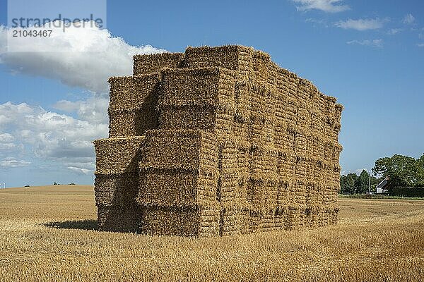 Pile of rectangular straw bales at Ystad  Skåne county  Sweden  Scandinavia  Europe