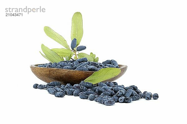 Honeysuckle berries and branch with leaves and berries isolated on white background