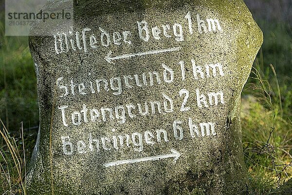 Stone signpost near Wilsede  Bispingen  Lüneburg Heath  Lower Saxony  Germany  Europe