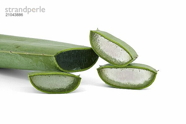 Aloe vera leaf slices isolated on white background  natural organic cosmetic ingredients for sensitive skin  alternative medicine