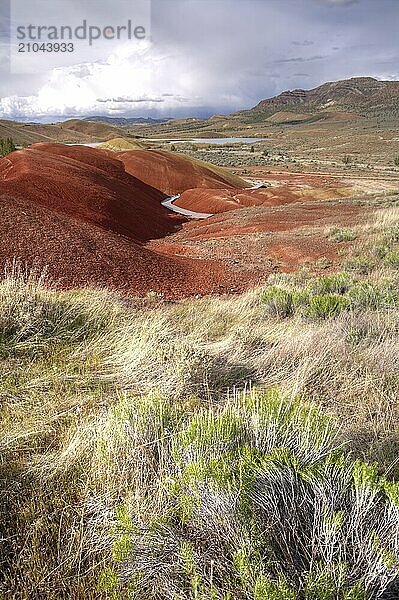 A grassy area leads to some red hills in the Painted Hills area in Oregon