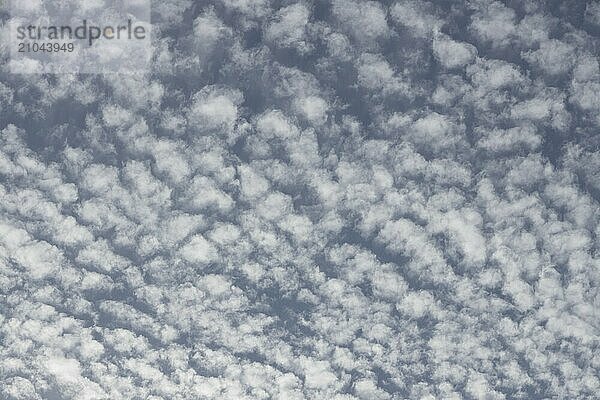 Cirrocumulus white clouds in a blue sky  England  United Kingdom  Europe