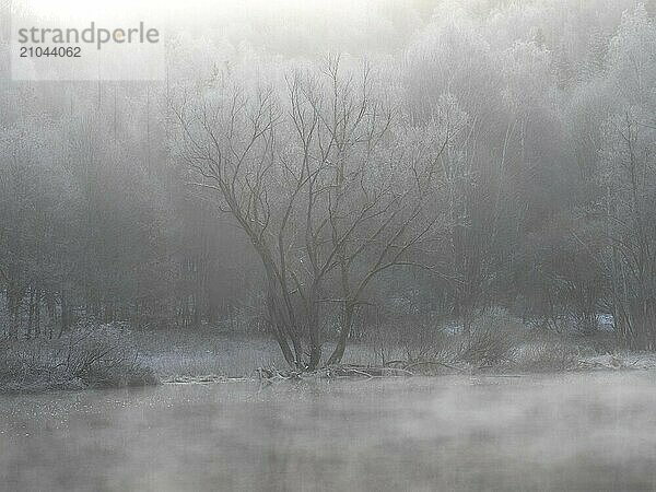 Morning river mist on the Saxon Saale in Thuringia