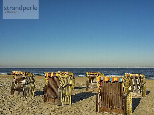 Several beach chairs stand on the sandy beach overlooking the calm sea on a clear  sunny day  egmond aan zee  the netherlands