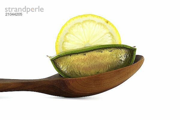 Aloe Vera and lemon slices in a wooden spoon isolated on white background  natural organic cosmetic ingredients for sensitive skin  alternative medicine