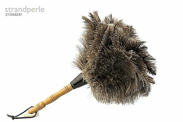 A feather duster in front of a white background  studio