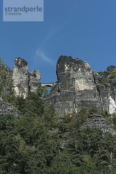 View from the Elbe up to the Bastei Bridge in Saxon Switzerland