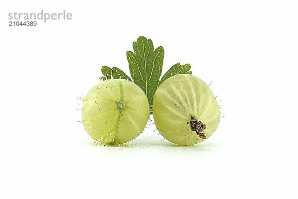 Green ripe gooseberry with leaf isolated over white background