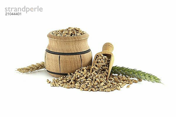 Close-up of a wooden barrel and scooper filled with wheat grains  positioned next to wheat ears isolated on a white background. Perfect for agricultural and food industry themes